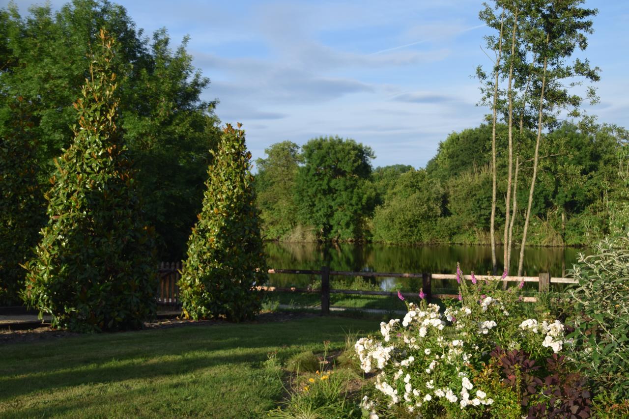 La Francoisiere Bed & Breakfast Loigné-sur-Mayenne Exterior foto